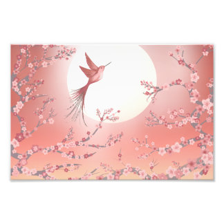 Foto Pink hummingbird moonlight Calm art poster 