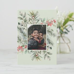 Foto Pino Verdor Acebo Feliz Navidad