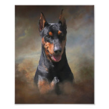 Pinscher alemán