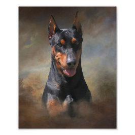 Foto Pinscher alemán