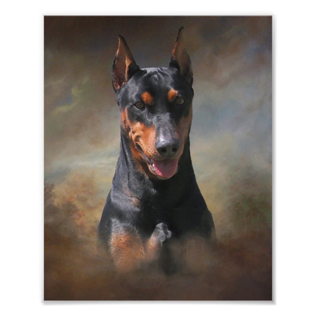 Foto Pinscher alemán (Frente)