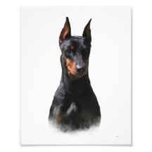 Pinscher alemán