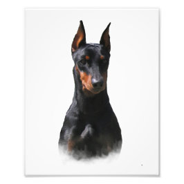 Foto Pinscher alemán
