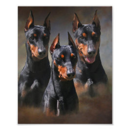 Foto Pinscher alemán