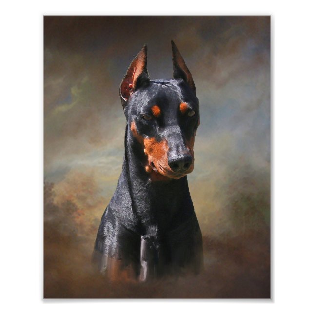 Foto Pinscher alemán (Frente)