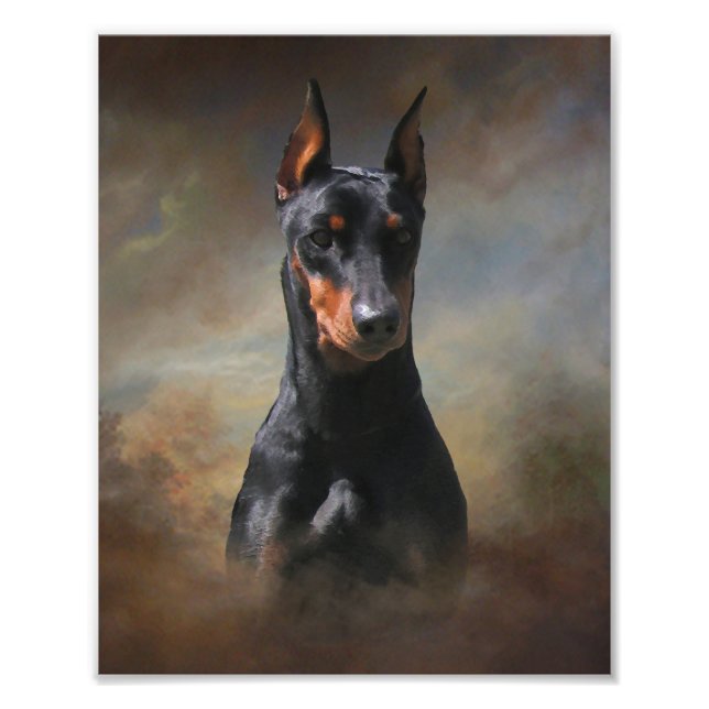 Foto Pinscher alemán (Frente)