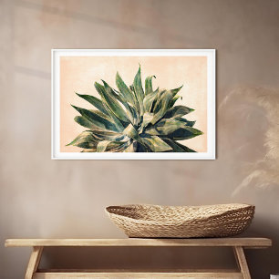 Foto Pintado de color de agua Agave Southwest Sage Gree