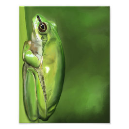 Foto Pintura de aceite de rana-1