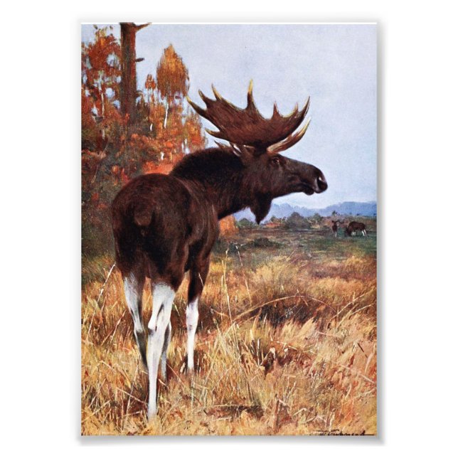 Foto Pintura de alce de época (Frente)