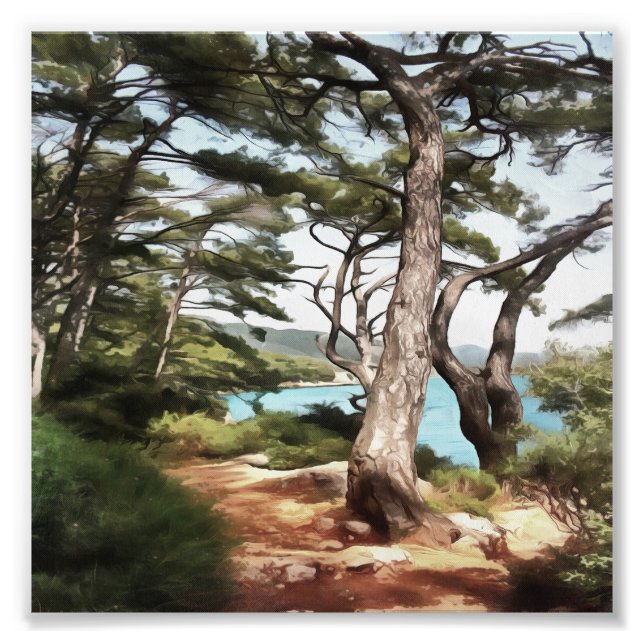 Foto Pintura de bosque de pino de Pinus pinea (Frente)