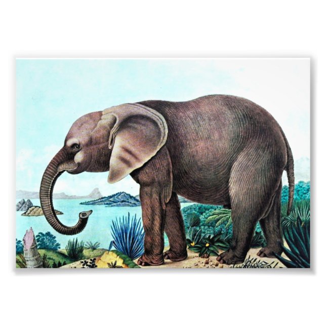 Foto Pintura de elefante de origen africano (Frente)