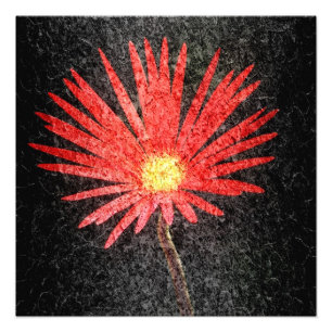 Foto Pintura de flores de margarita roja