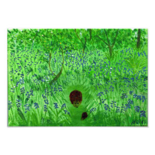 Foto Pintura de Hedgehogs Bluebell Woodland