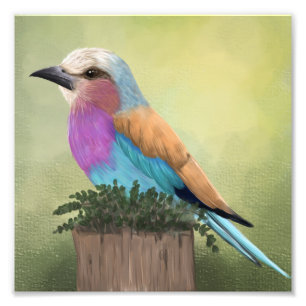 Foto Pintura de pájaro colorida con rodillo laminado
