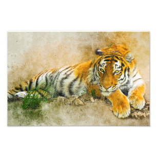 Foto Pintura de tigre