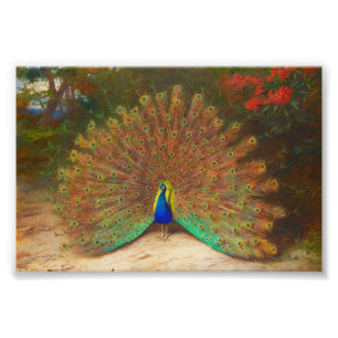 Foto Pintura del pavo real del vintage