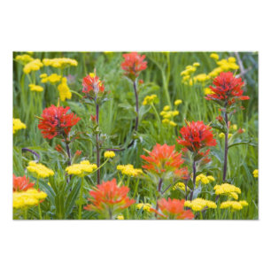 Foto Pintura india y flores silvestres de bizcocho