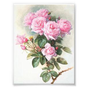 Foto Pintura rosada de los rosas del vintage