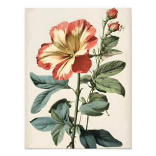 Foto Pintura vibrante de flores rojas y amarillas hibis
