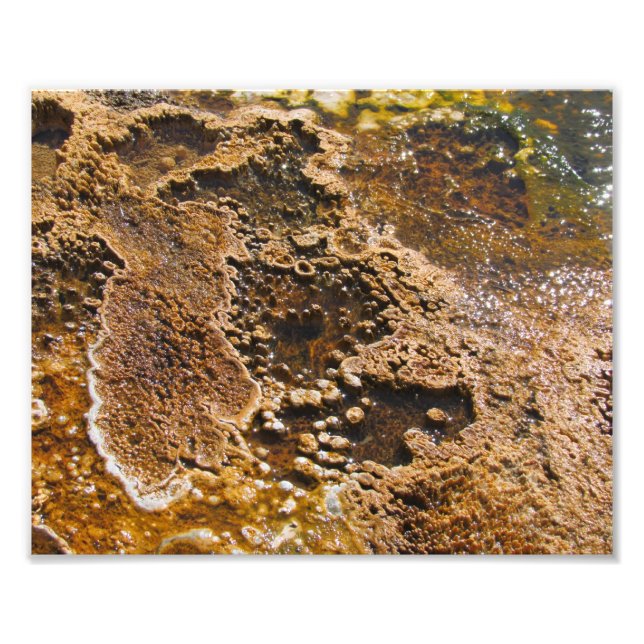 Foto Piscina argelina (Frente)