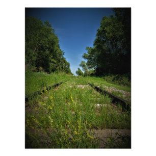 Foto "Pista y campo"