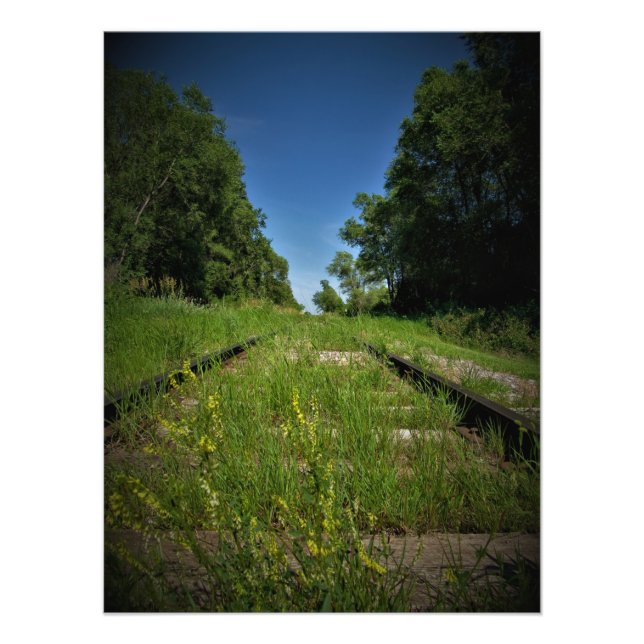 Foto "Pista y campo" (Frente)