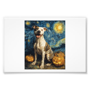 Foto Pit Bull Perro Lindo Halloween Jack O Lantern Cala