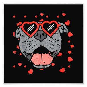 Foto Pitbull Face Glasses Día de San Valentín Mascota P