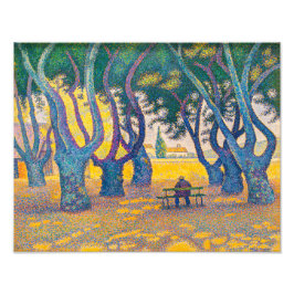 Foto Place des Lices, St. Tropez | Paul Signac |