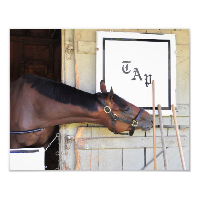 Foto Plan maestro (Frente)