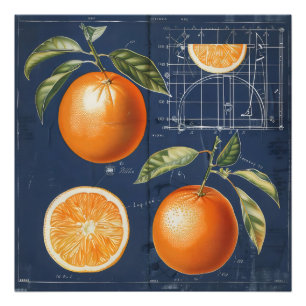 Foto Planos de Frutas Naranjas