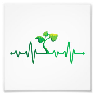 Foto Plant Heartbeat - Planta Botánica de Jardinería Bo