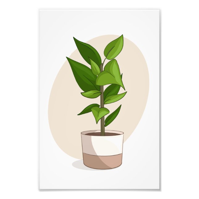 Foto Planta 1 En Poster Vector Imprimir Desde Mi Sims C (Frente)
