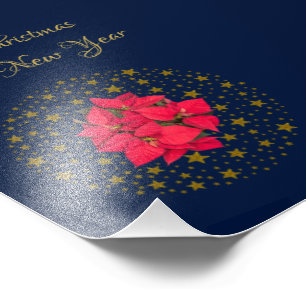Foto Planta de Poinsettia Roja sobre el brillante cielo