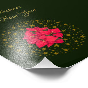 Foto Planta de Poinsettia Roja sobre el cielo verde est