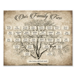 Foto Plantilla de gráfico de árbol de familia de genera