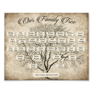 Foto Plantilla de gráfico de árbol de familia de genera