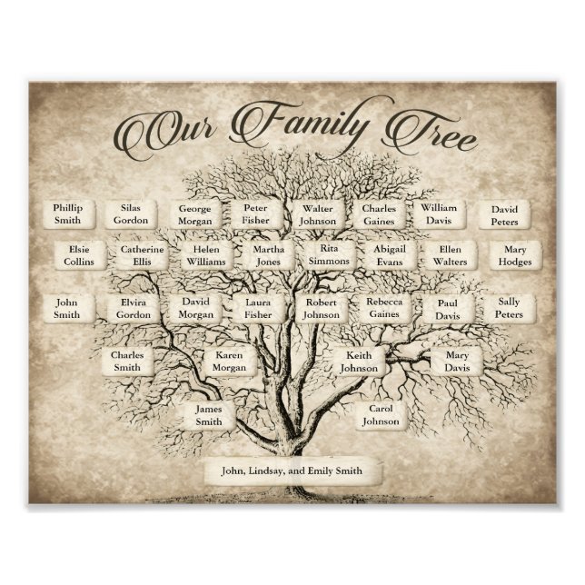 Foto Plantilla de gráfico de árbol de familia de genera (Frente)