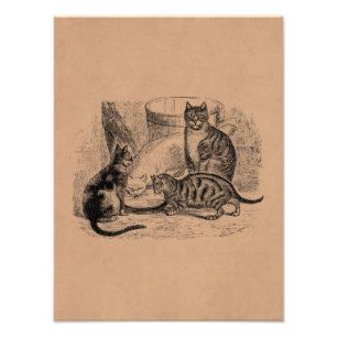 Foto Plantilla de Ilustracion para gatos de gatos de na