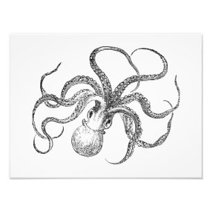 Foto Plantilla del pulpo del vintage