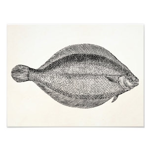 Foto Plantilla personalizada pescados de la platija de