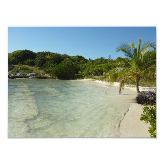 Foto Playa Antigua Hermoso Paisaje Tropical (Frente)