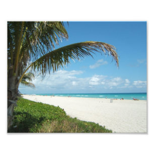 Foto Playa blanca w/Palm de la arena