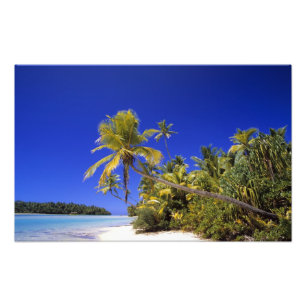 Foto Playa bordeada de palmeras Islas Cook 4