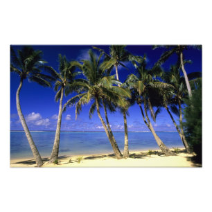 Foto Playa bordeada de palmeras Islas Cook 6