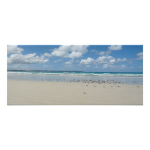 Foto Playa con gaviotas