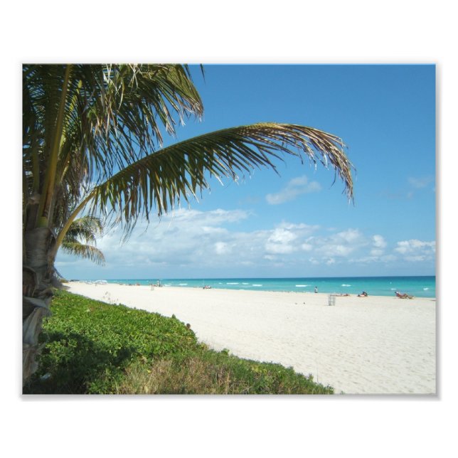 Foto Playa de arena blanca con palma (Frente)