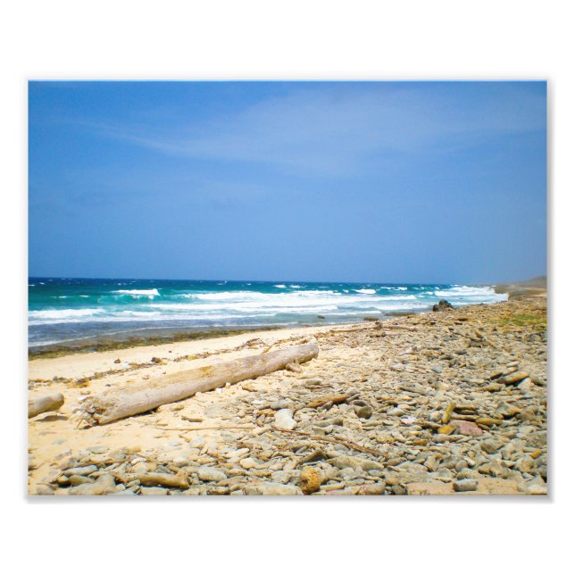 Foto Playa de olas oceánicas con marisco, decoración ca (Frente)