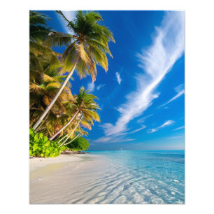 Foto Playa del Paraíso: Palmeras Tropicales y Cristal