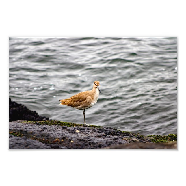 Foto Playa del Rey (Frente)